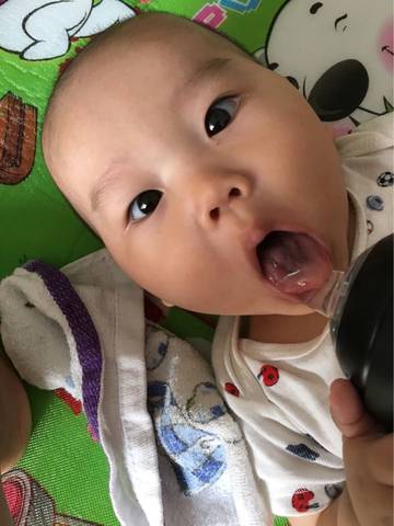 journal_insert_pic_578513050