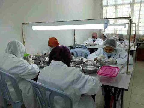 journal_insert_pic_579494759