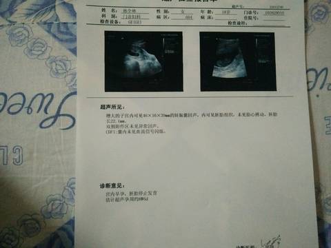 journal_insert_pic_579909670