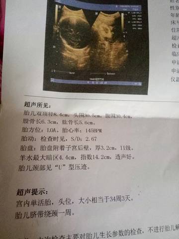 journal_insert_pic_579962221