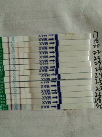 journal_insert_pic_580443278
