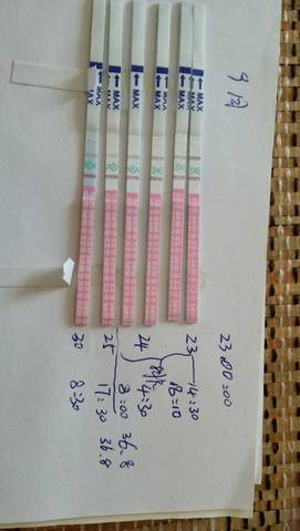 journal_insert_pic_580441003