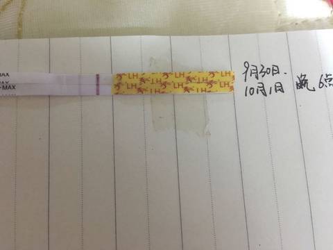journal_insert_pic_581269406