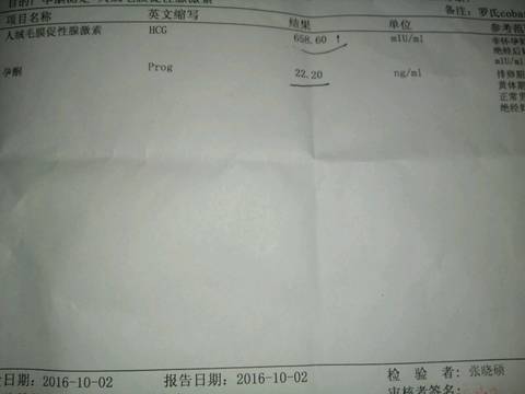 journal_insert_pic_581646867