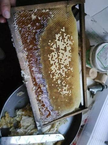 journal_insert_pic_581482390