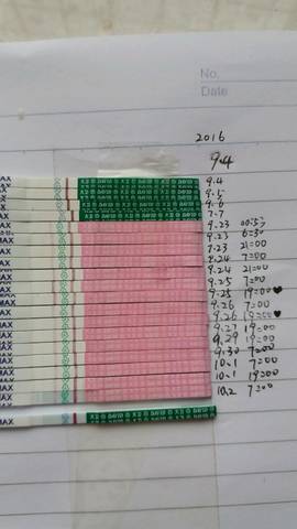 journal_insert_pic_581525742