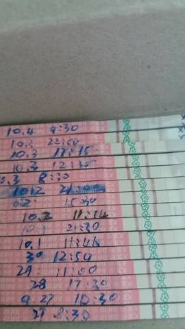 journal_insert_pic_582879075