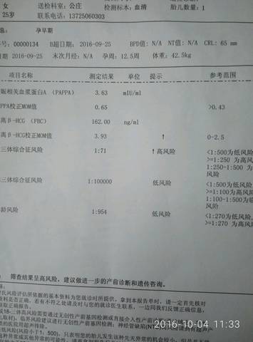 journal_insert_pic_582894664
