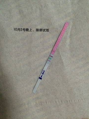 journal_insert_pic_585362971