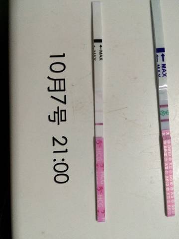journal_insert_pic_585363106