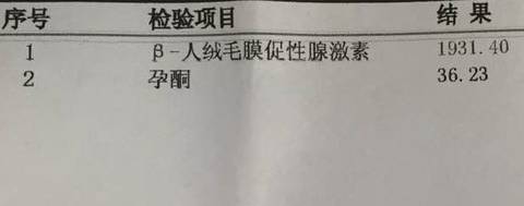 journal_insert_pic_586783117