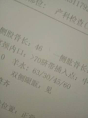journal_insert_pic_586351647