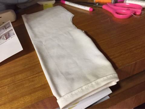 journal_insert_pic_586733362