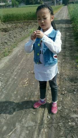 journal_insert_pic_587457489