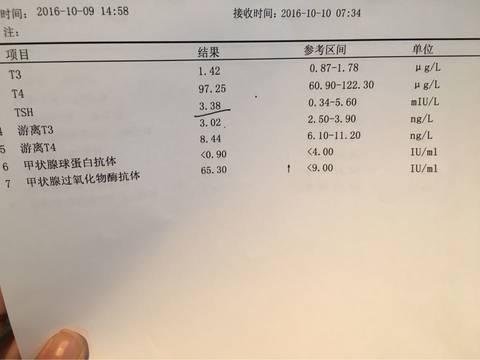 journal_insert_pic_587812876