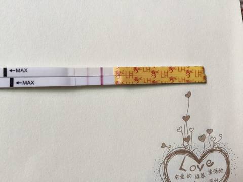 journal_insert_pic_587650803