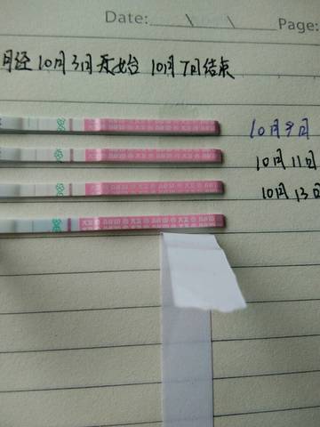 journal_insert_pic_590296875