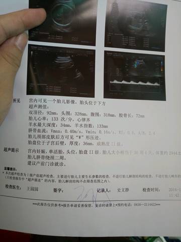 journal_insert_pic_590275680