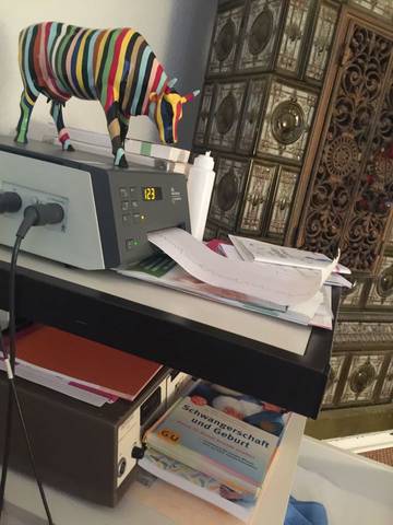journal_insert_pic_590105514