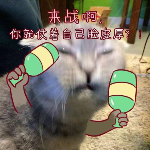 journal_insert_pic_591339070