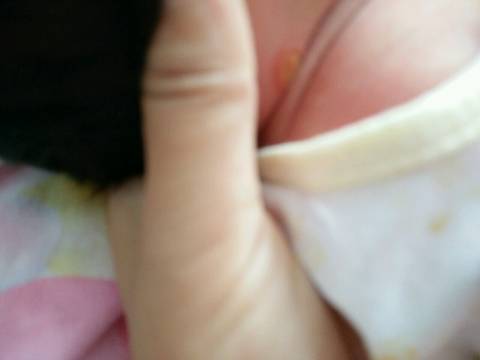 journal_insert_pic_590804609
