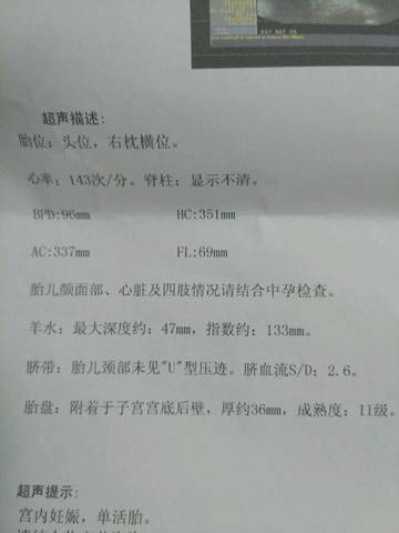 journal_insert_pic_591151495