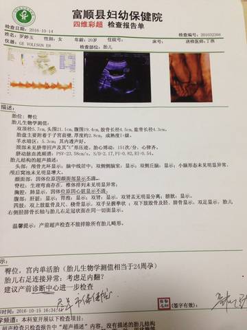 journal_insert_pic_590940667
