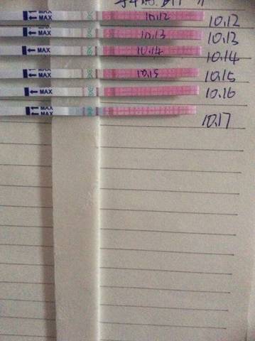 journal_insert_pic_591733868