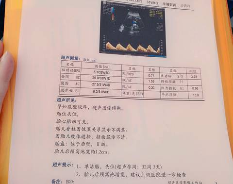 journal_insert_pic_592429624