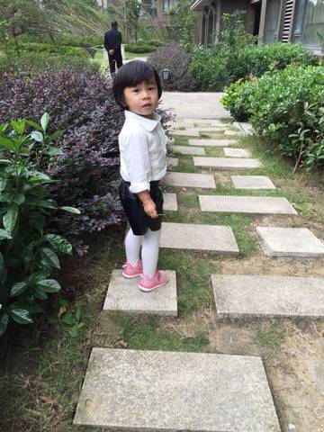 journal_insert_pic_593211463