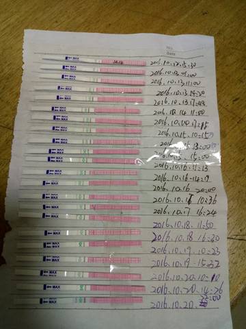 journal_insert_pic_593919141
