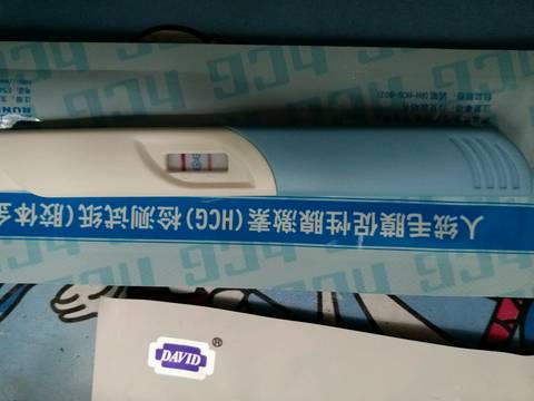 journal_insert_pic_594320368