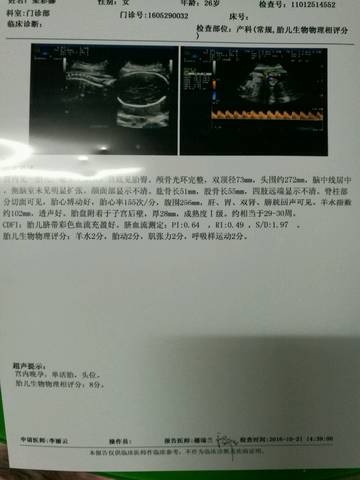 journal_insert_pic_594467278