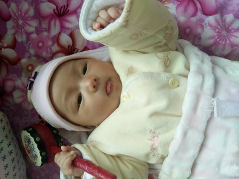 journal_insert_pic_594763821
