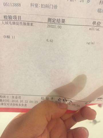 journal_insert_pic_595022463