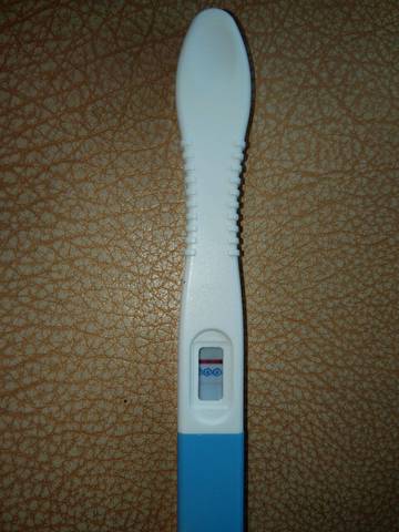 journal_insert_pic_594778303