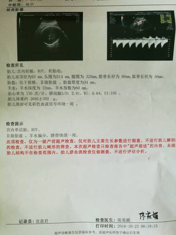journal_insert_pic_595610740