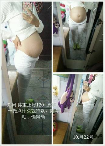 journal_insert_pic_596310099