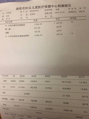 journal_insert_pic_597065812