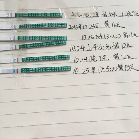 journal_insert_pic_597345123