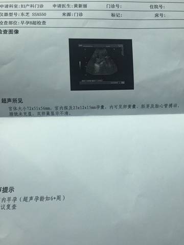 journal_insert_pic_597392474