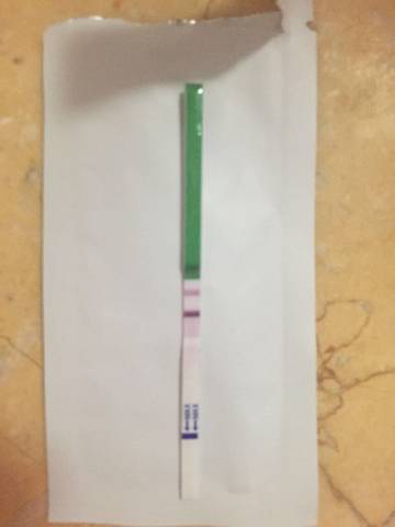 journal_insert_pic_598133494