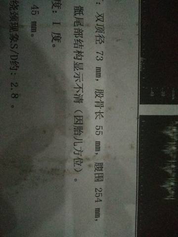journal_insert_pic_599176911