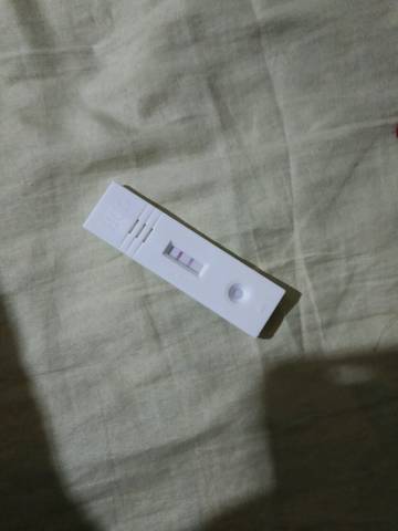 journal_insert_pic_598749145