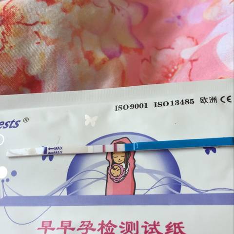 journal_insert_pic_599988199