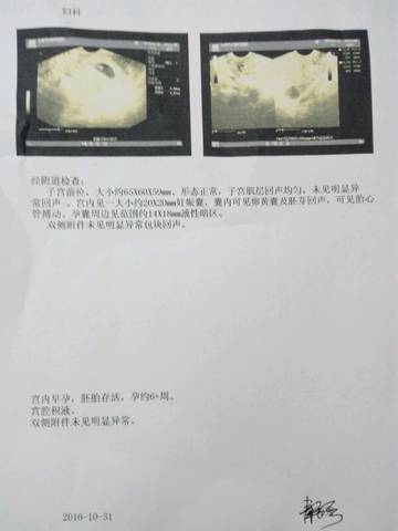 journal_insert_pic_600823527