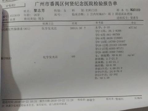 journal_insert_pic_600569287