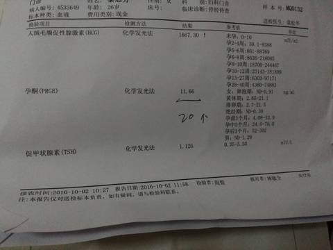 journal_insert_pic_600569116