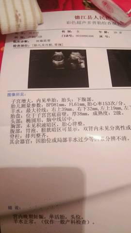 journal_insert_pic_600886626