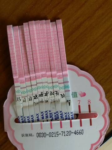 journal_insert_pic_601142921